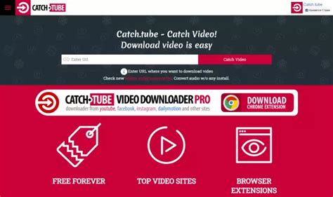 video downloader from any website